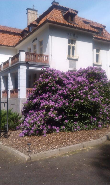 Vila Olga Jevany ภายนอก รูปภาพ